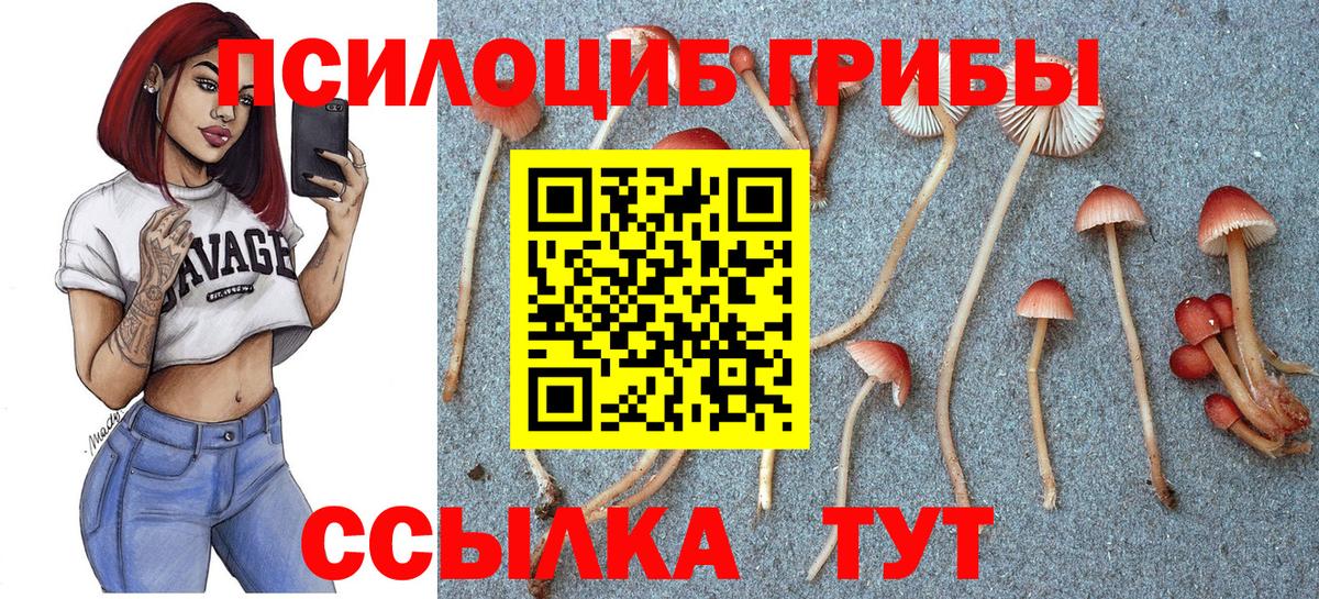 Галлюциногенные грибы ЛСД Жигулёвск