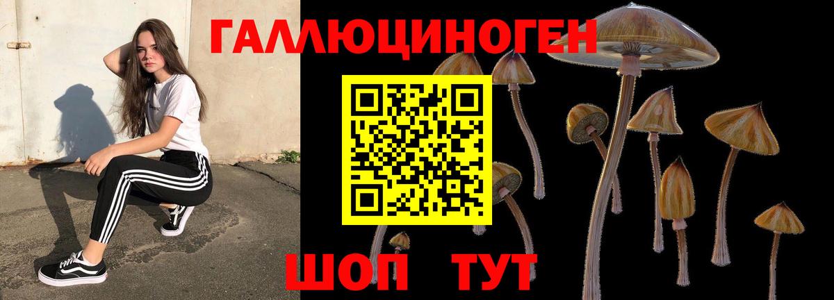 Жигулёвск  Галлюциногенные грибы MAGIC MUSHROOMS  Вход с VPN 